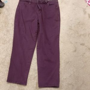 Gloria Vanderbilt Amanda purple jeans